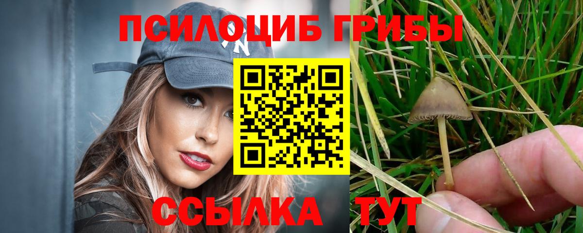 Галлюциногенные грибы ЛСД Балашов