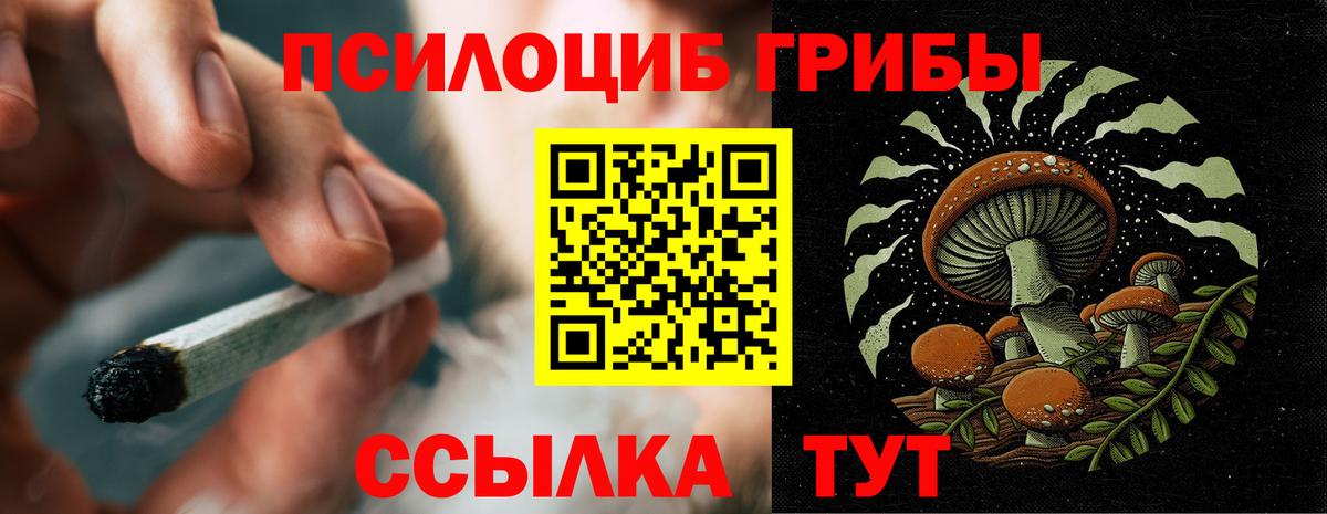 Псилоцибиновые грибы GOLDEN TEACHER  купить наркотики цена  Балашов  Галлюциногенные грибы Cubensis  Вход с VPN 
